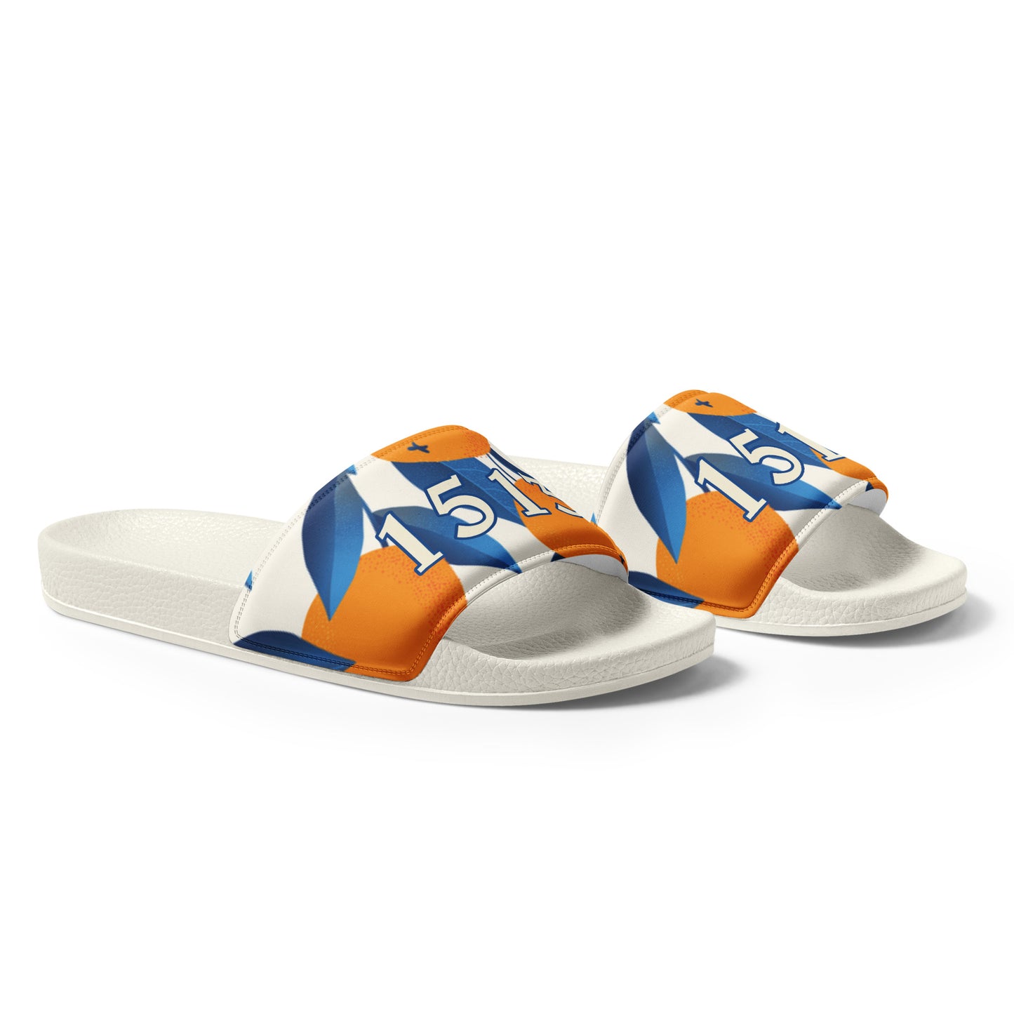 1513 'Orange Grove' Slides